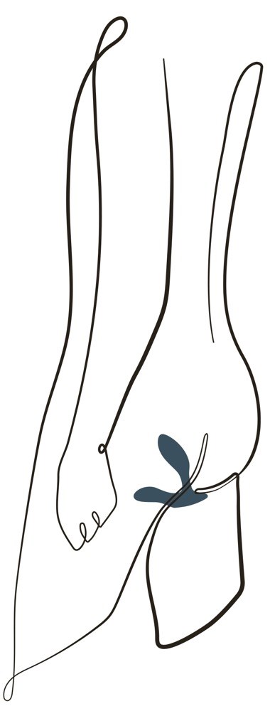 Vector Prostate Massager with App