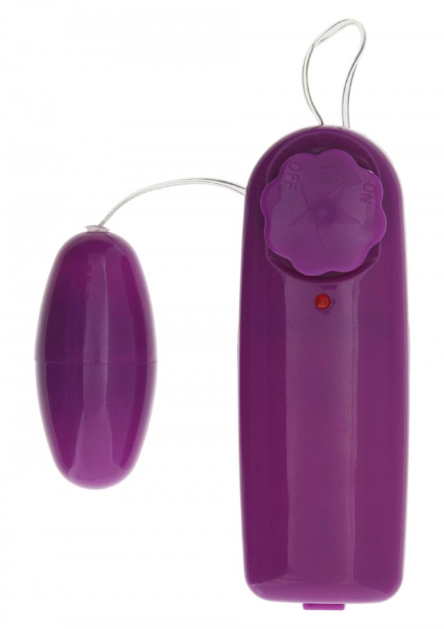 Fantastic Purple Sextoy Kit
