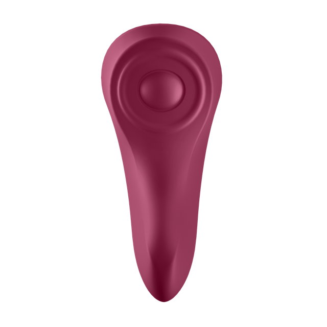 Sexy Secret Panty Vibrator with App