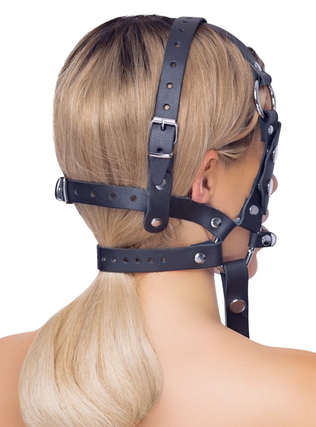 Leather Head Harness