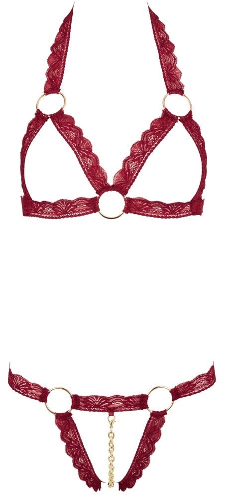 Minimalistic Sexy Red Bra & Panty Set