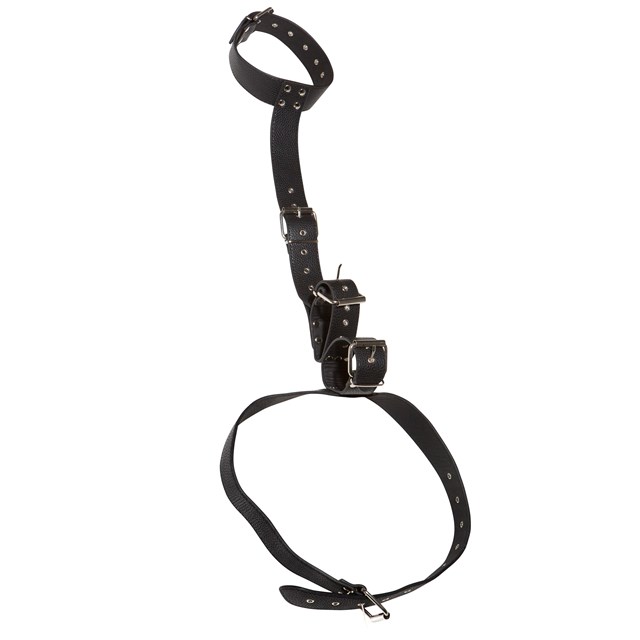 Neck and Hand Restraints