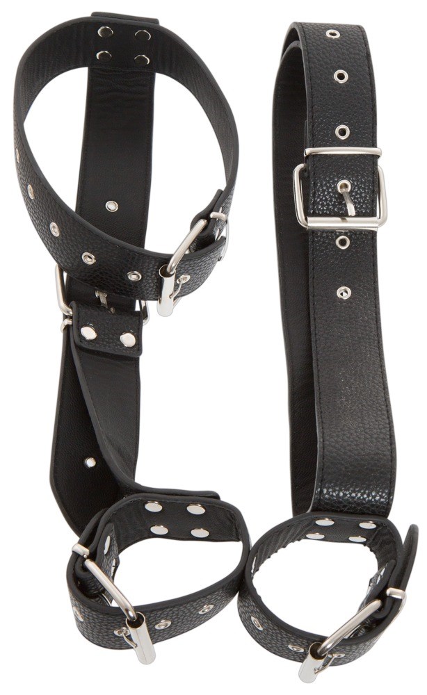 Neck and Hand Restraints