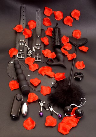 Amazing Pleasure Sex Toy Kit