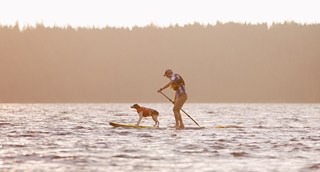 5 ting hunden din vil gjøre med deg i sommer