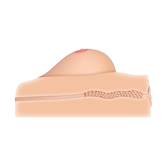 Kendra Life-Size Breast Stroker With Vagina