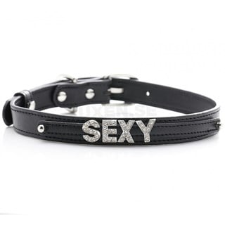 Dog Collar "sexy"