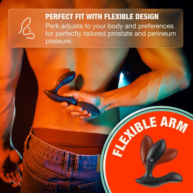 Arcwave Perk Prostate Vibrator