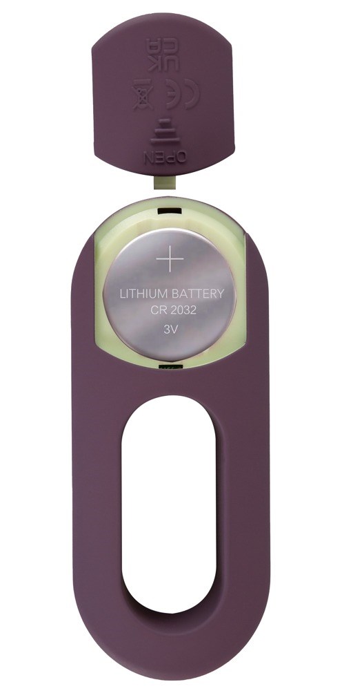 ARIVA RC Panty Vibrator