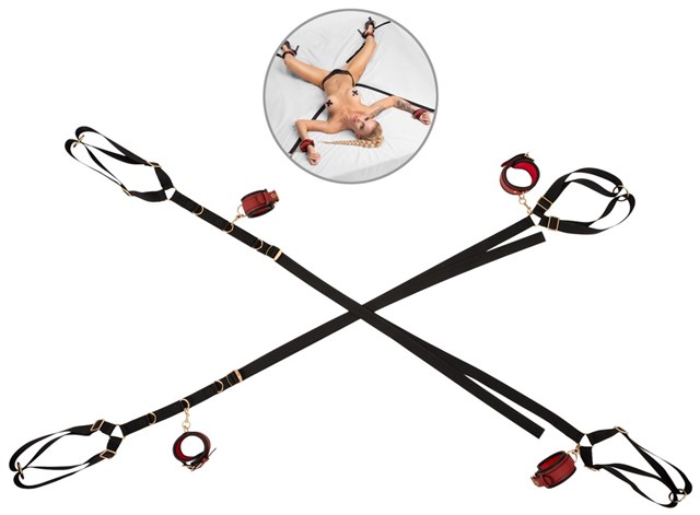Bed/Door Restraint Set