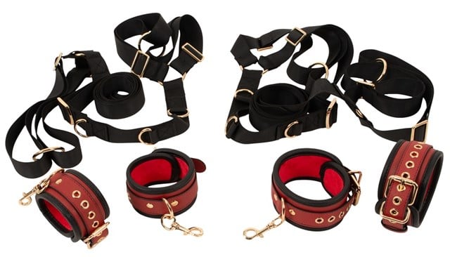 Bed/Door Restraint Set