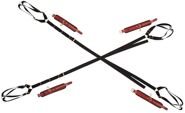 Bed/Door Restraint Set