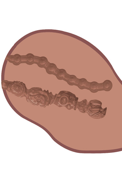 Big Ass Banger Vibrator Brown 3 kg