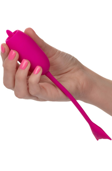 Picture of the product
