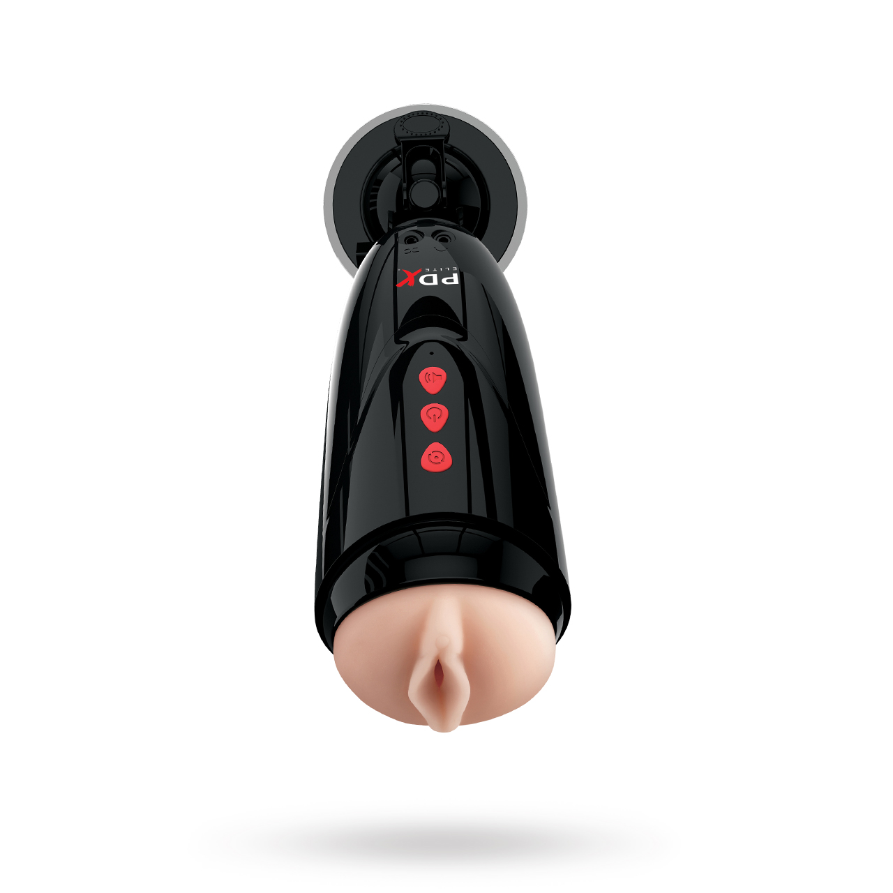 Dirty Talk Starter Stroker