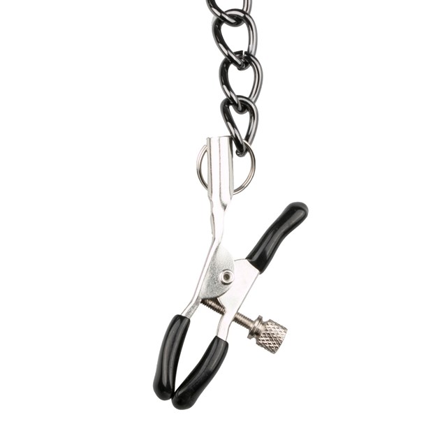 Leather Collar & Nipple Chains