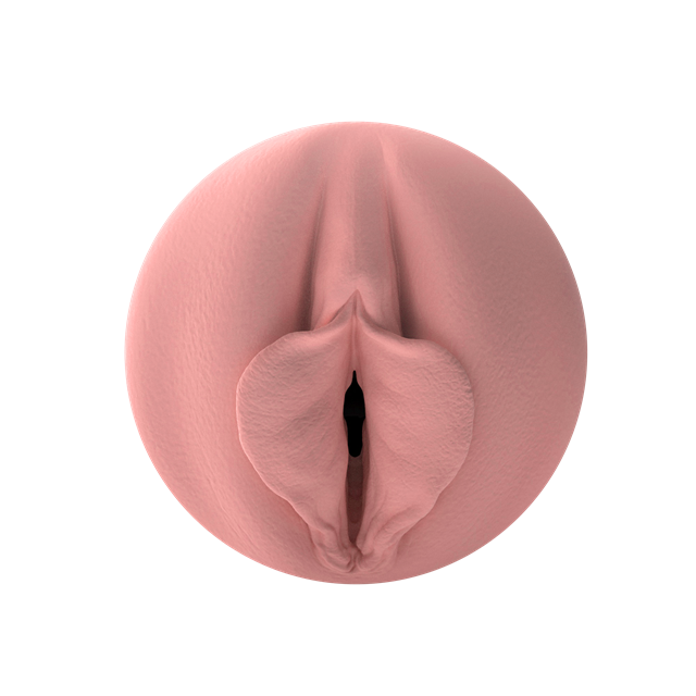 Quiver – Rechargeable Vibrating Stroker