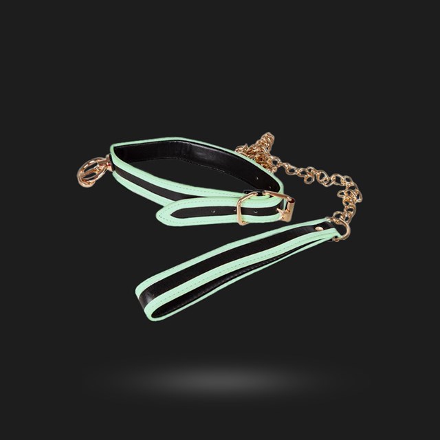 Glow-in-the-Dark Halsband med Koppel - Vit/Svart/Guld