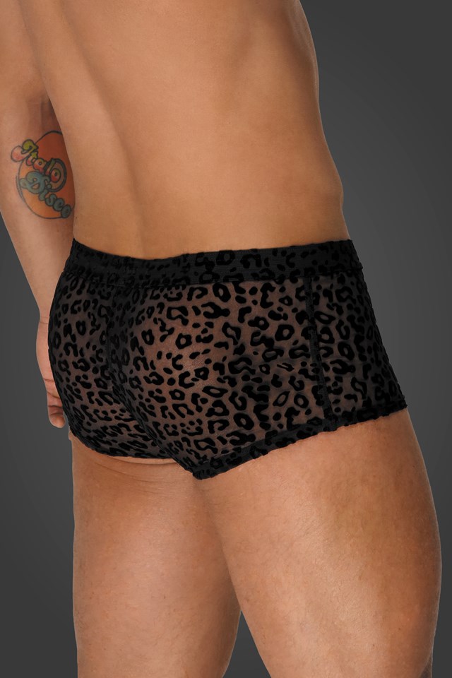 H072 Shorts med leopardbrodyr