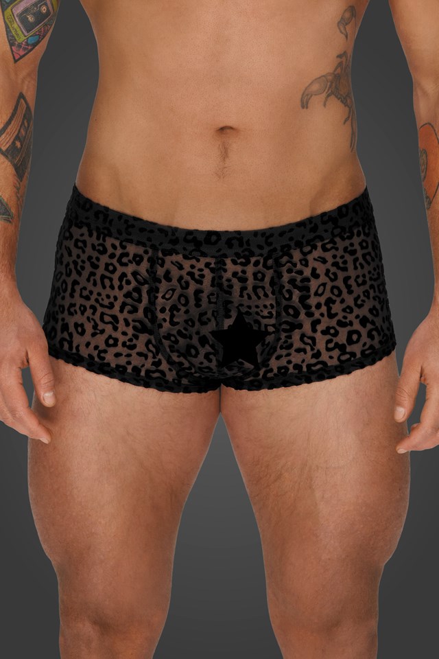 H072 Shorts med leopardbrodyr