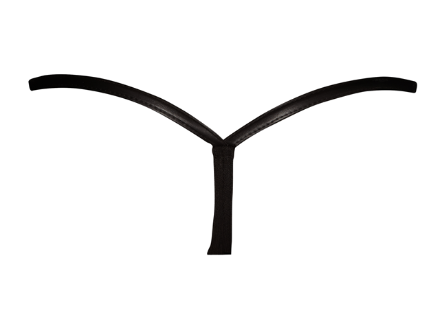 F119 Panty With Tulle Element