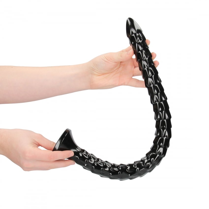 Scaled Anal Snake 50 cm