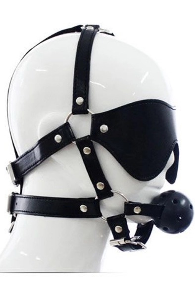 TOYZ4LOVERS Total Head Harness Restraint