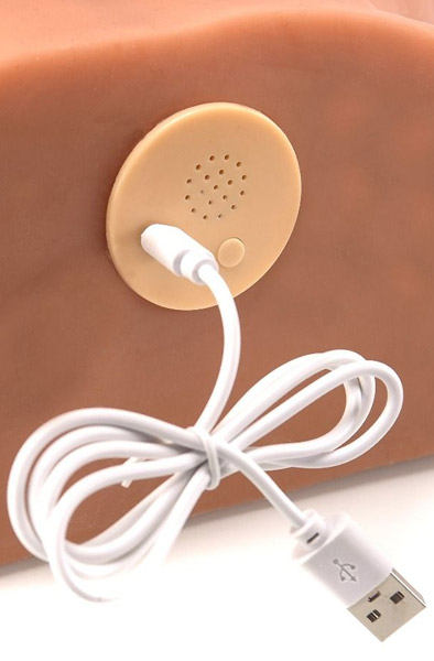 Pamela's Wild Vibrating Shaking Ass 12,5 kg