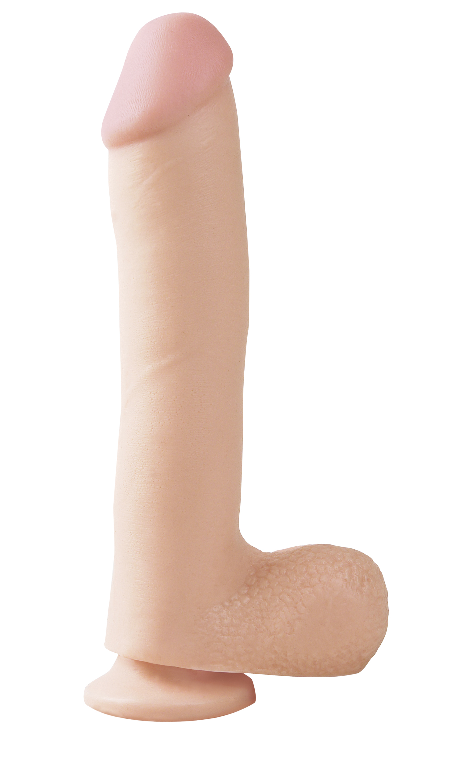 BASIX 25cm Suction Cup Dong