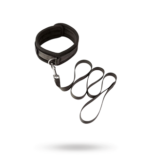 Take The Lead Padded Neck Collar & Leash