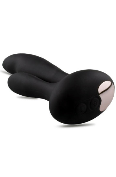 Double Anal Stimulator