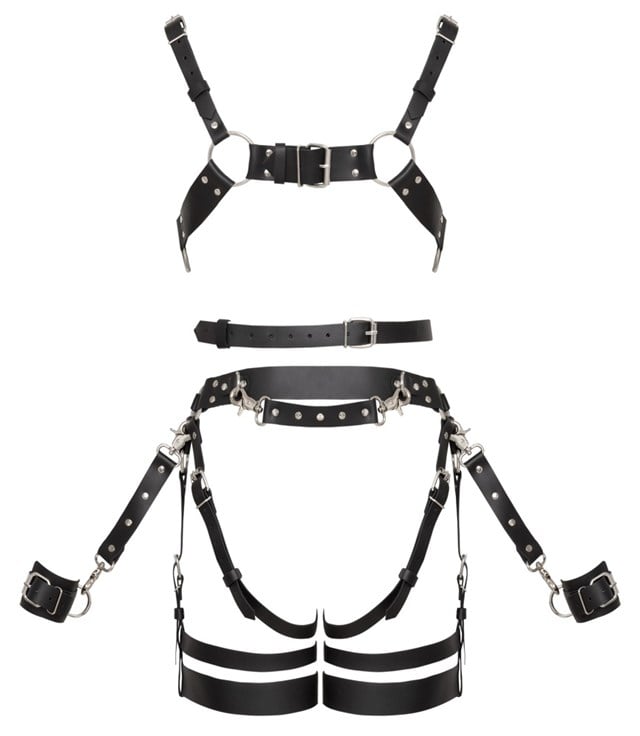 Leather Harness Set