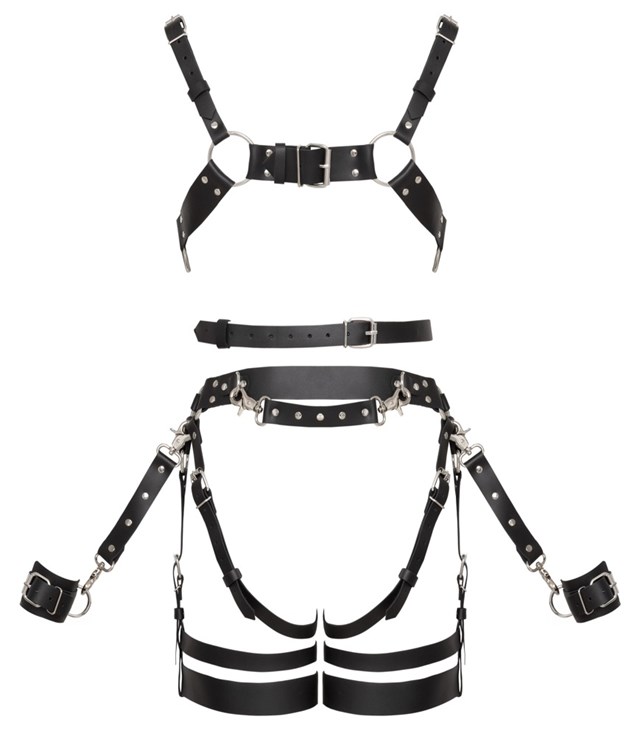 Leather Harness Set